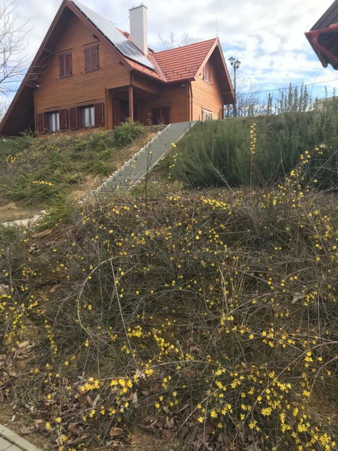 Appartamento Böjti Pince Tormafolde Esterno foto