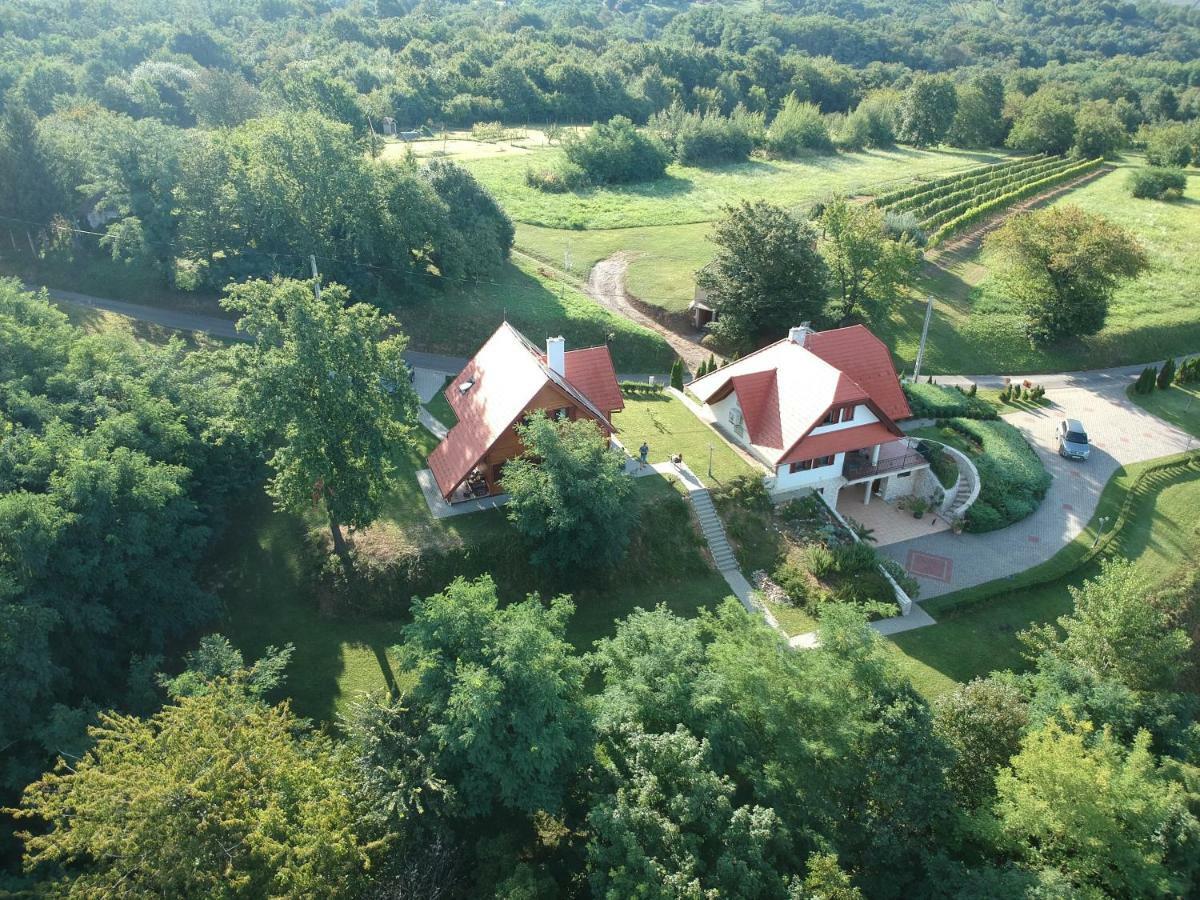 Appartamento Böjti Pince Tormafolde Esterno foto
